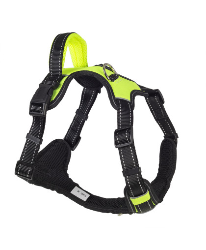 Шлейка нейлон Sport с ручкой рМ ОГ55-65см зеленая Каскад