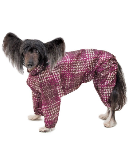 Комбинезон зимний Китайская хохлатая 36см Гамма/Gamma Комбинезон зимний Китайская хохлатая 36см Гамма/Gamma