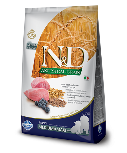 Фармина/Farmina N&D Анцестрал корм для щенков средних и крупных пород Ягненок с черникой 2,5кг Фармина/Farmina N&D Анцестрал корм для щенков средних и крупных пород Ягненок с черникой 2,5кг
