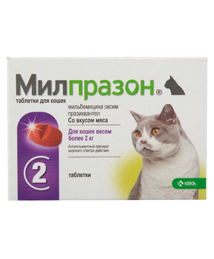 Милпразон для кошек более 2кг 2 таблетки (1 таблетка/4-8кг) Милпразон для кошек более 2кг 2 таблетки (1 таблетка/4-8кг)