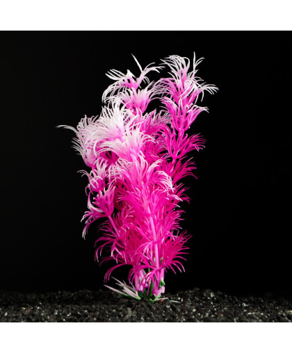 Растение аквариумное розово-белое 3*13см в ассортименте Растение аквариумное розово-белое 3*13см в ассортименте