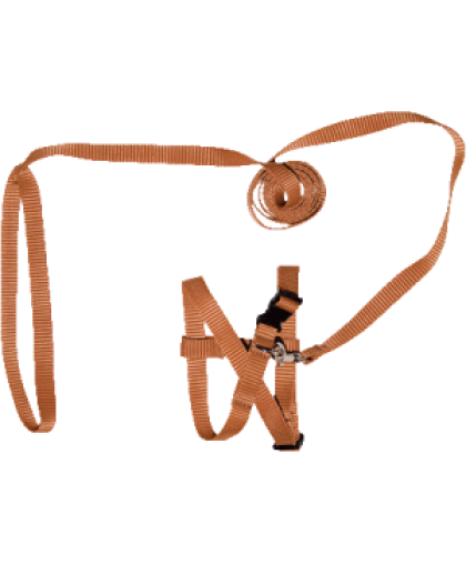 Комплект для кошек шлейка + поводок 1,5м 14мм фастекс стропа Зооник Комплект для кошек шлейка + поводок 1,5м 14мм фастекс стропа Зооник