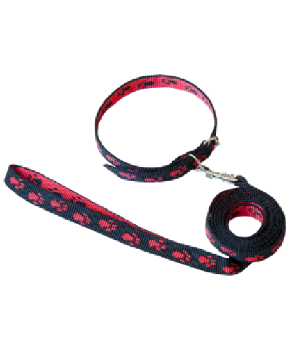 Комплект для собак ошейник + поводок 1,5м*15мм стропа с лапками (5шт) Зооник Комплект для собак ошейник + поводок 1,5м*15мм стропа с лапками (5шт) Зооник