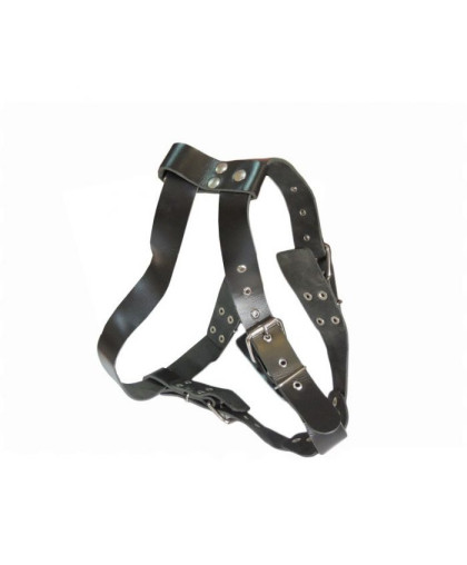 Шлейка кож. 20 больш.СА